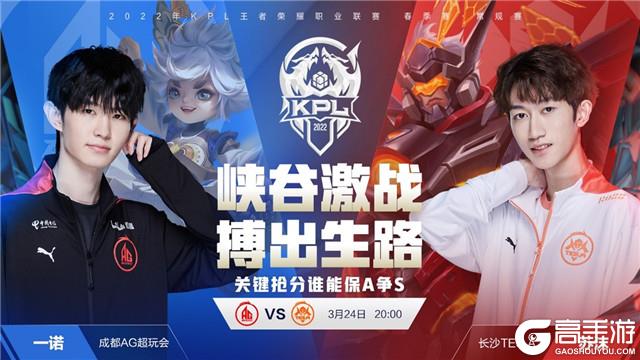 但浙江队的 但浙江队的