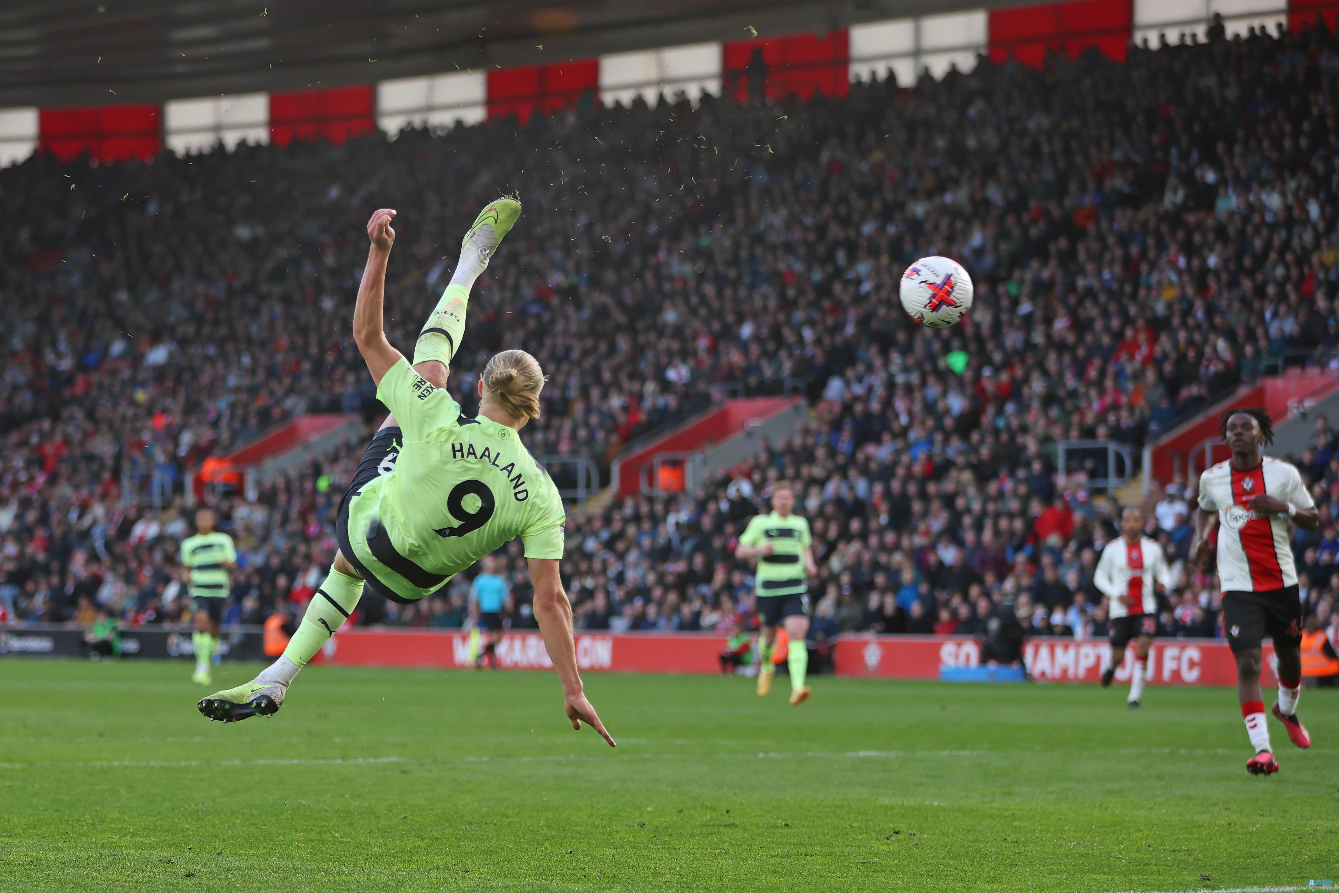 在公告中用 在公告中用