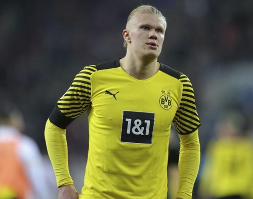 释放规模效 释放规模效